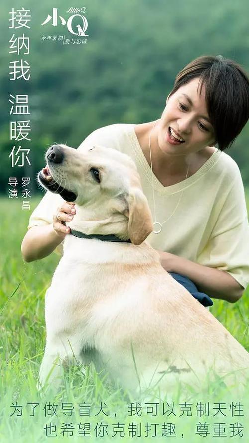 高仿项目经理证